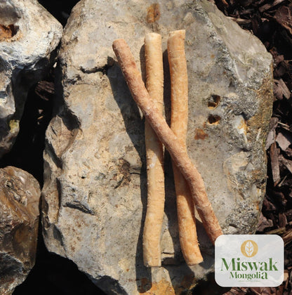 Арабын байгалийн мисвак мод | Miswak Mongolia